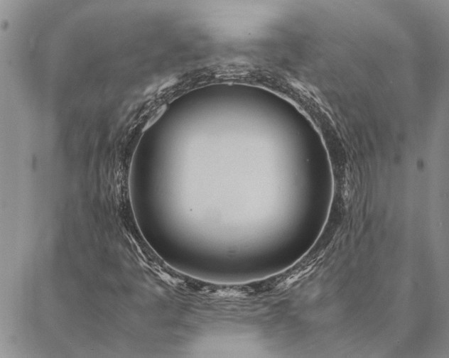 X0000087391445200704271610