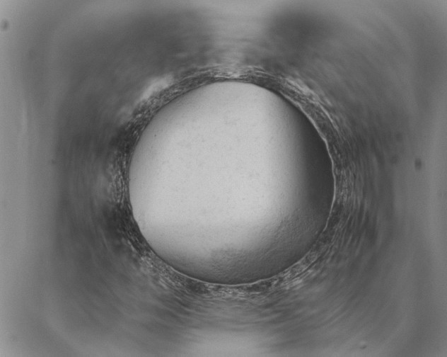 X0000087391446200704271610