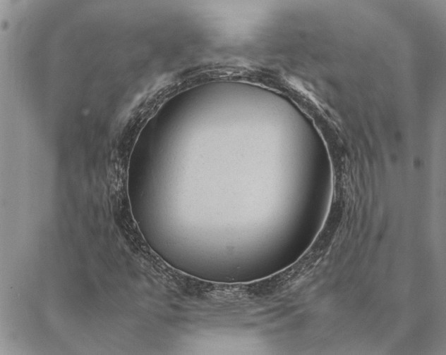 X0000087391447200704271610