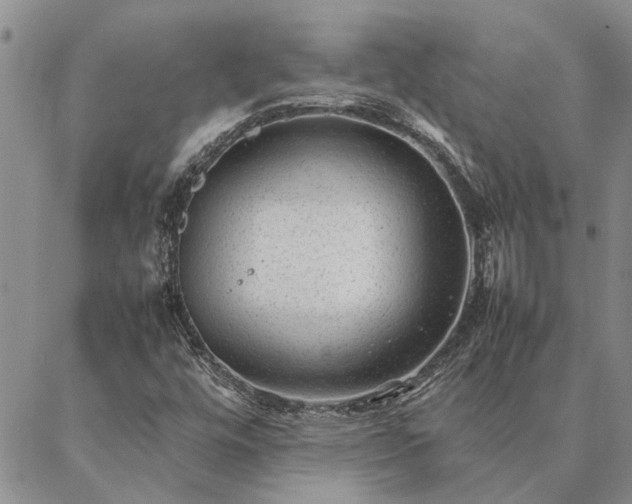 X0000087391448200704271610