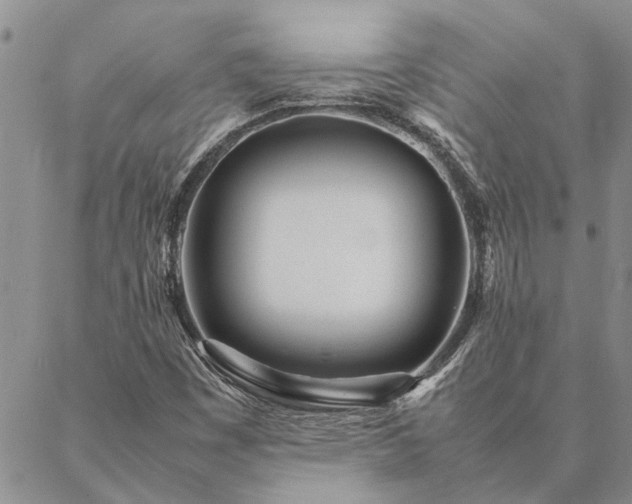 X0000087391449200704271610