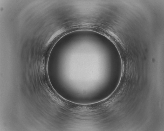 X0000087391450200704271610