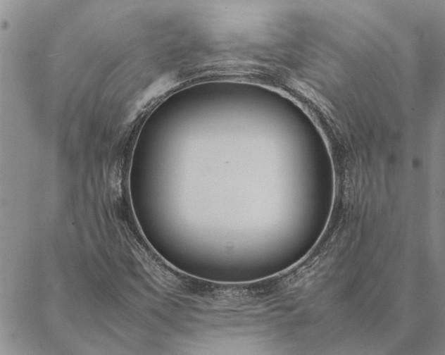 X0000087391451200704271610