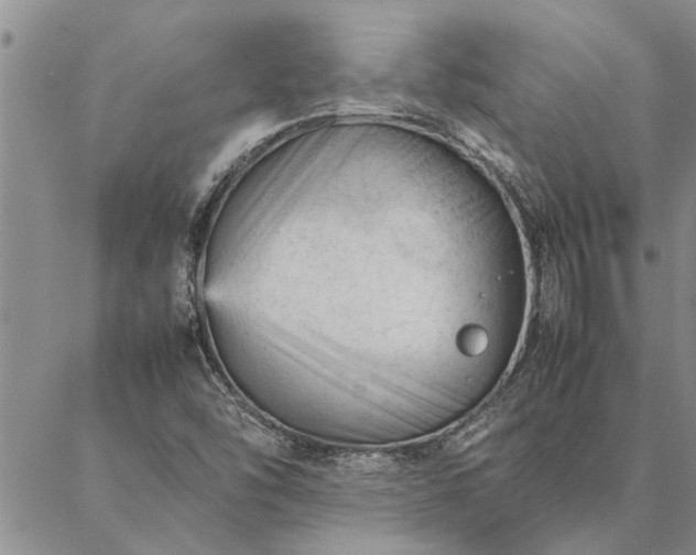 X0000087391454200704271610