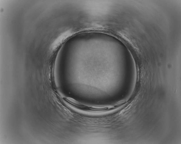 X0000087391455200704271610