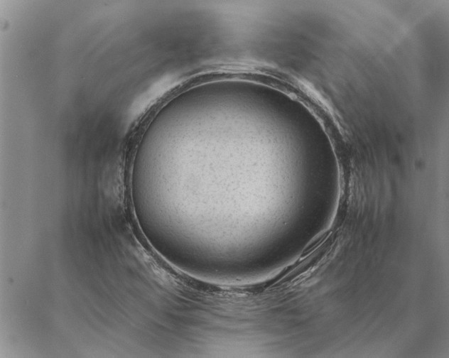 X0000087391456200704271610