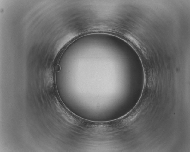 X0000087391458200704271610