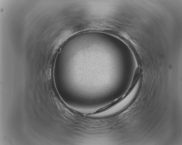 X0000087391459200704271610