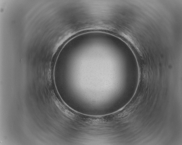 X0000087391460200704271610