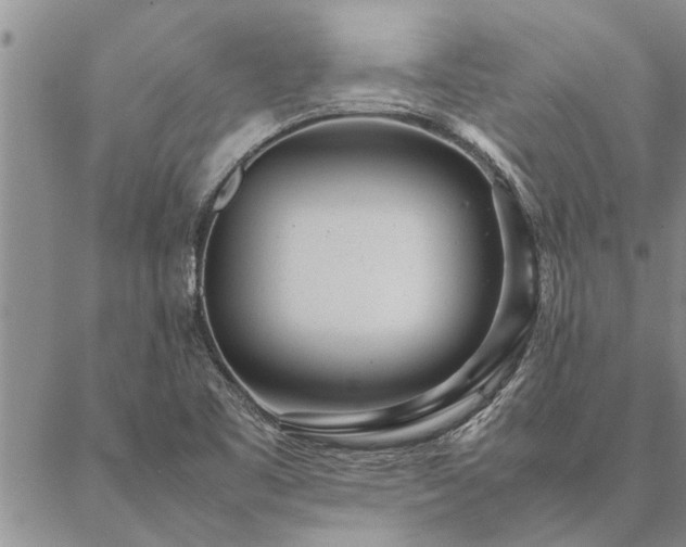 X0000087391461200704271610