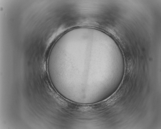 X0000087391462200704271610