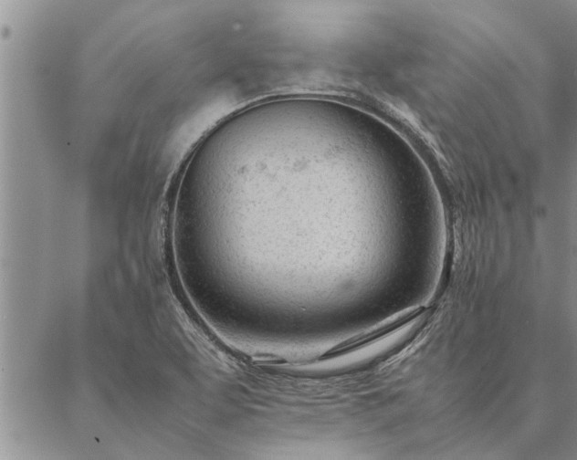 X0000087391463200704271610