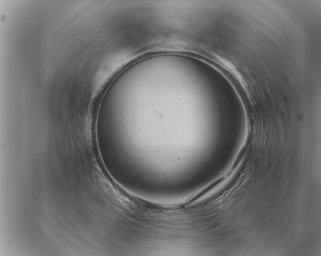 X0000087391464200704271610