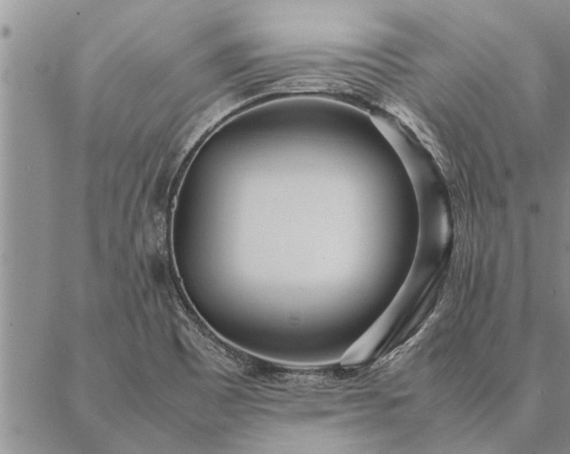 X0000087391465200704271610