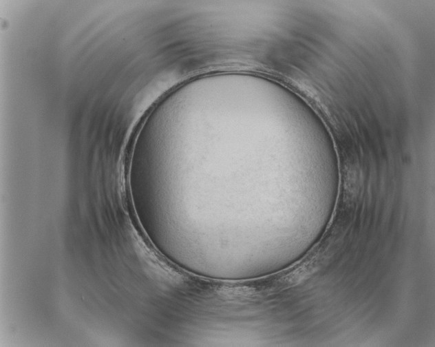 X0000087391466200704271610