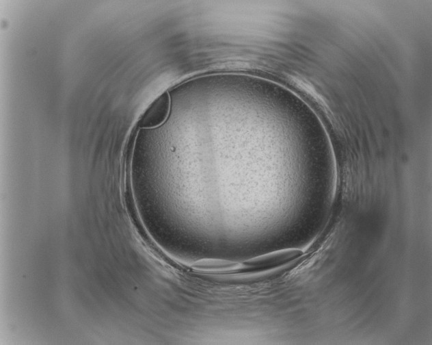 X0000087391467200704271610