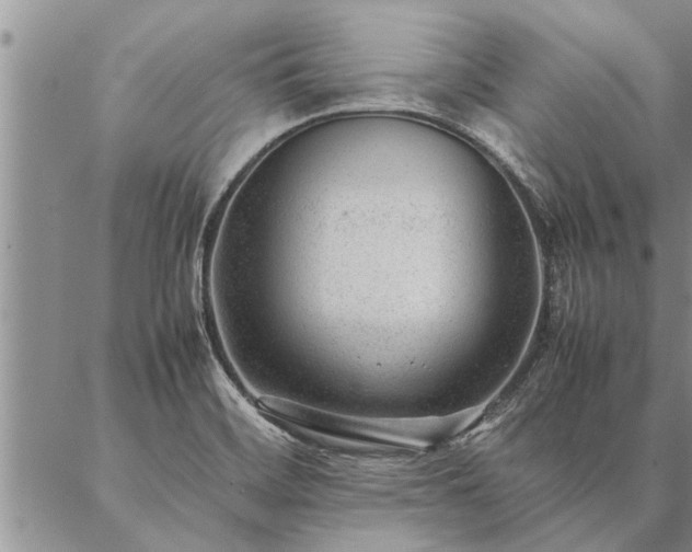 X0000087391468200704271610