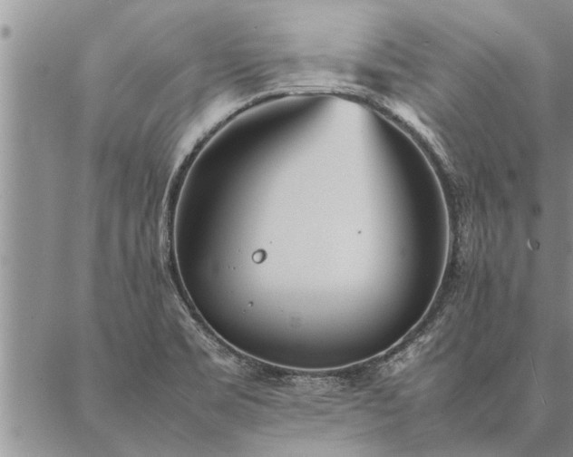 X0000087391469200704271610