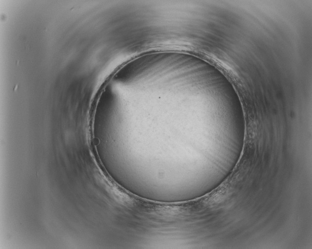 X0000087391470200704271610