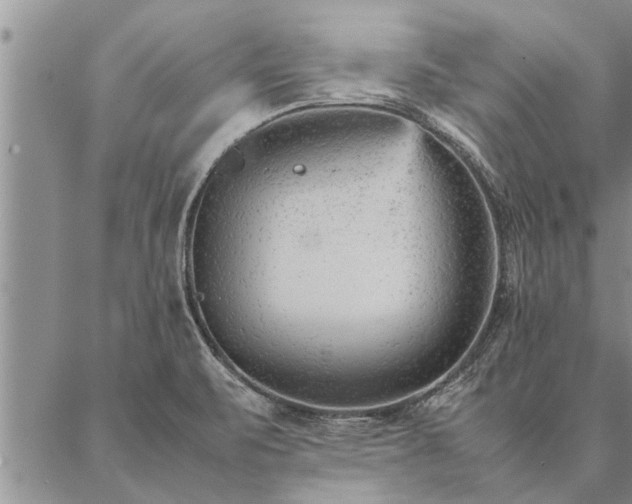 X0000087391471200704271610