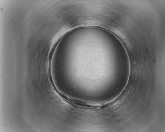 X0000087391472200704271610