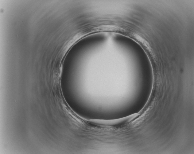 X0000087391473200704271610