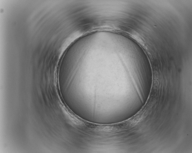 X0000087391474200704271610