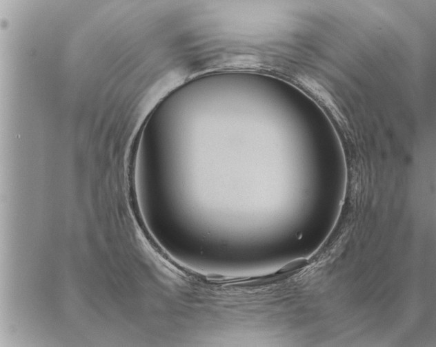 X0000087391475200704271610