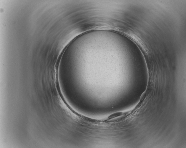 X0000087391476200704271610