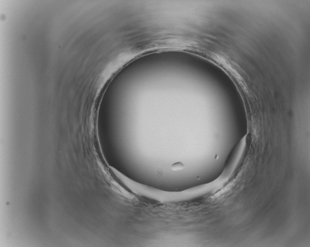 X0000087391477200704271610