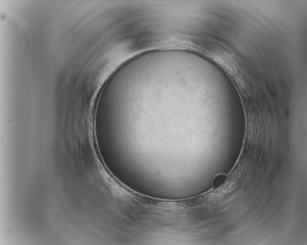 X0000087391478200704271610