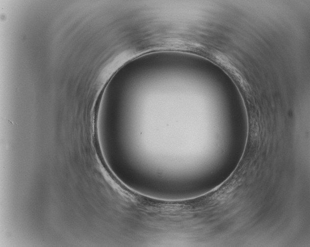 X0000087391479200704271610