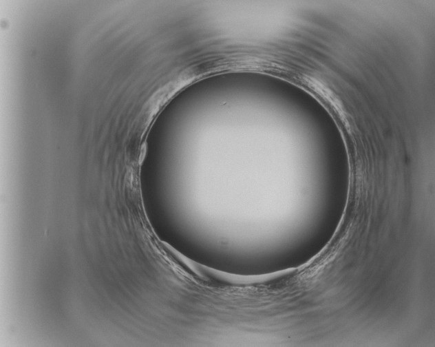 X0000087391481200704271610