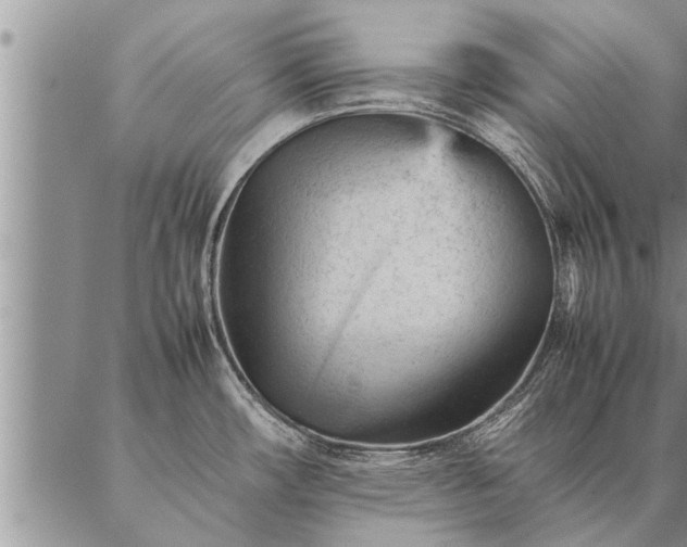 X0000087391482200704271610