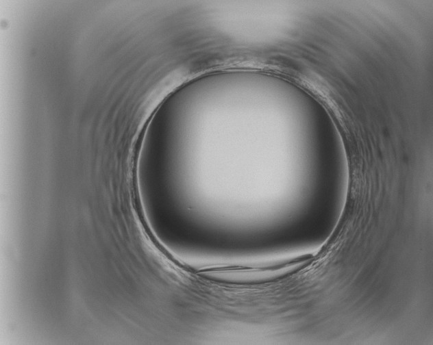 X0000087391483200704271610