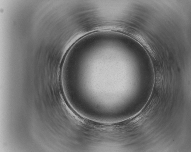 X0000087391484200704271610