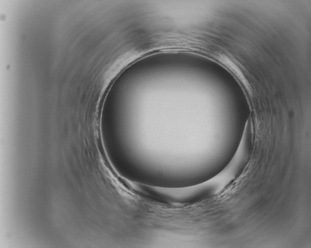 X0000087391485200704271610