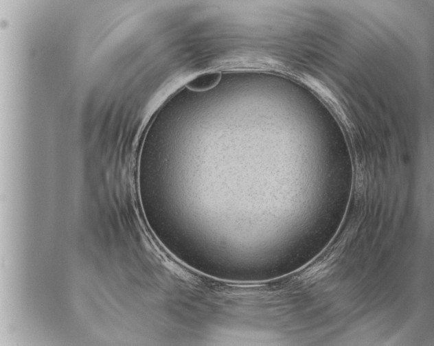 X0000087391486200704271610