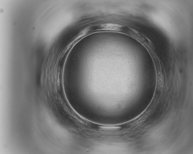 X0000087391487200704271610