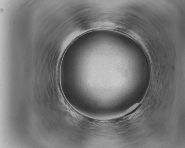 X0000087391488200704271610