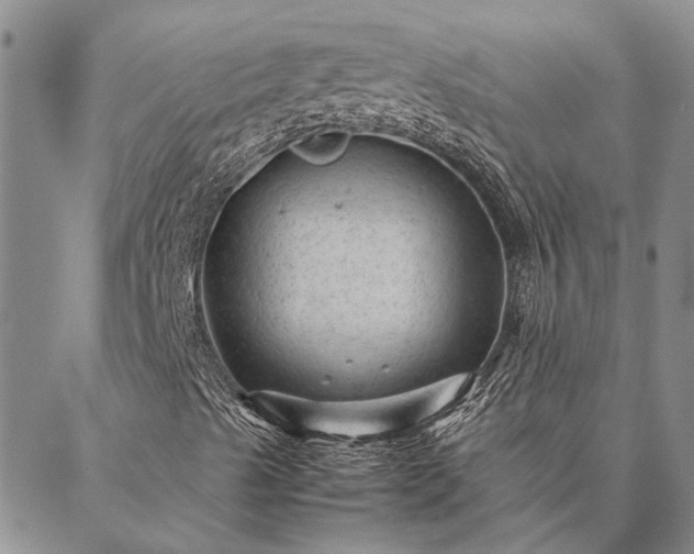 X0000087391489200704271609