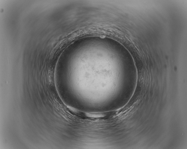 X0000087391490200704271609