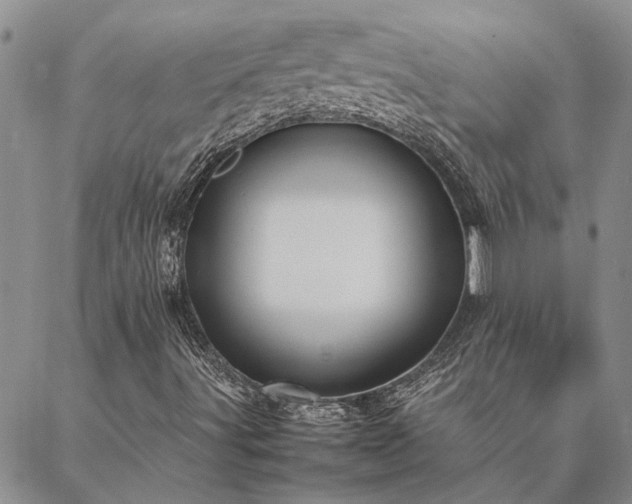 X0000087391491200704271609