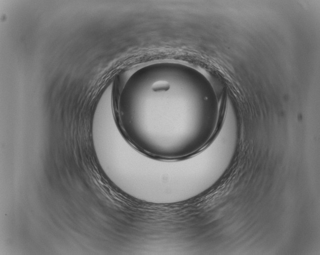 X0000087391492200704271609