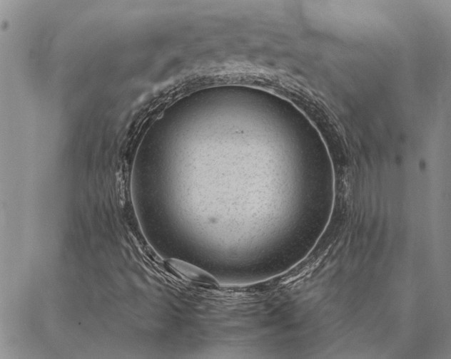 X0000087391493200704271609