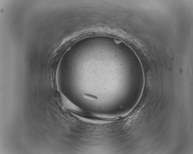 X0000087391494200704271609