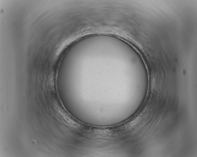 X0000087391498200704271609