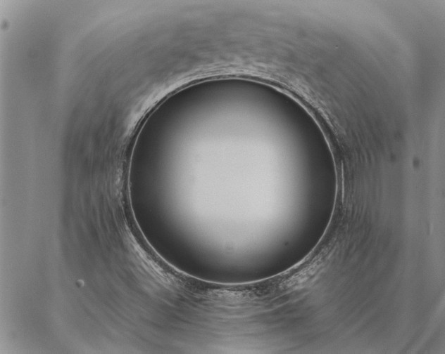 X0000087391500200704271609