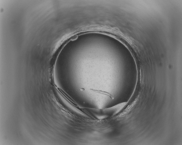 X0000087391501200704271609