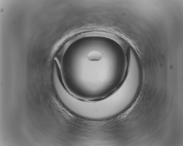 X0000087391502200704271609